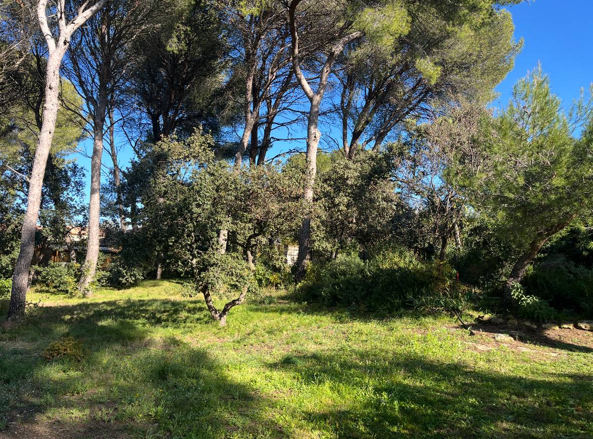 Lotissement de terrains à Pélissanne