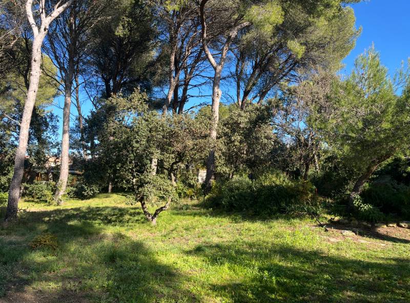 Lotissement de terrains à Pélissanne