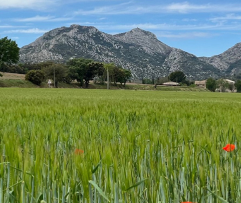 Terrain en Lotissement à Sénas