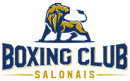 https://www.boxe-salon.fr/